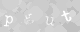 Please type the characters of this captcha image in the input box