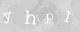 Please type the characters of this captcha image in the input box