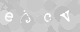 Please type the characters of this captcha image in the input box