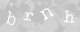 Please type the characters of this captcha image in the input box