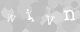 Please type the characters of this captcha image in the input box