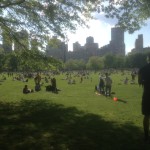 Sheep Meadow at Central Park