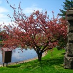 Green-Wood Cemetery, the Prettiest Place in New York City
