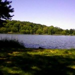 Prospect Park